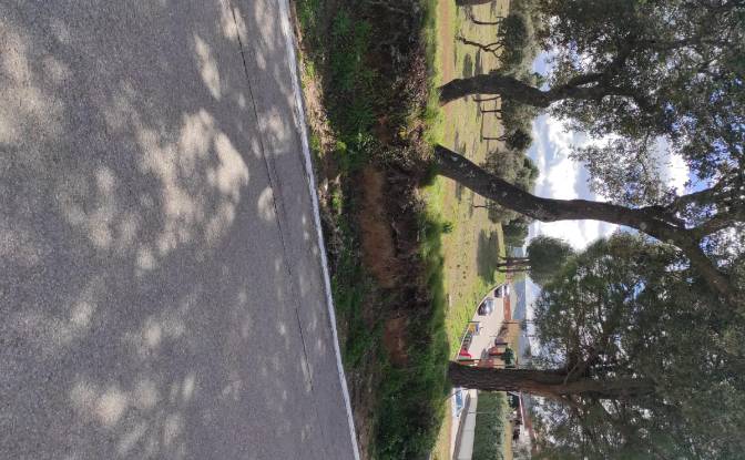 Land Lot for Sale C Arroyo Valdezate. Photo#3 Land Lot for Sale C Arroyo Valdezate. Photo#3