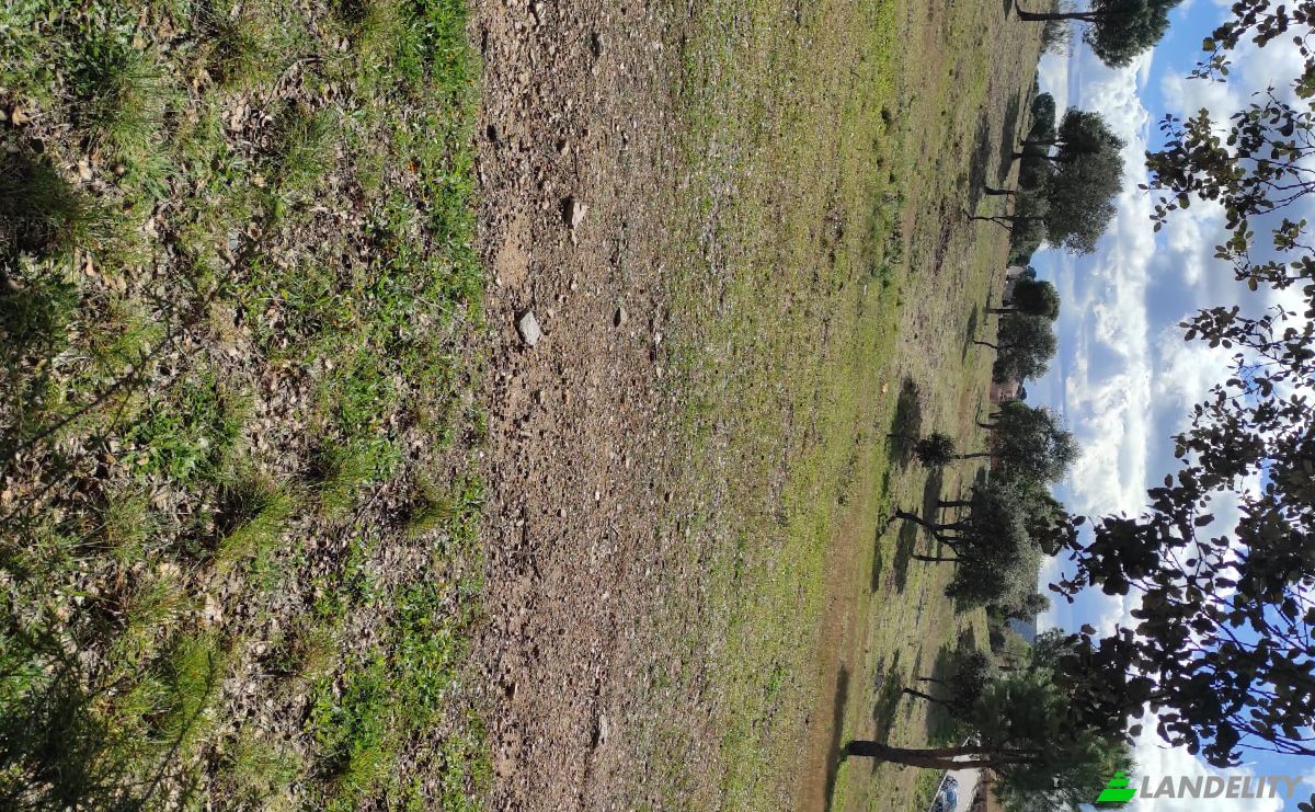 Land Lot for Sale C Arroyo Valdezate, Navas del Rey, Madrid, Community of Madrid, Spain. Photo 4