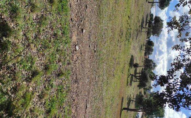 Land Lot for Sale C Arroyo Valdezate. Photo#4 Land Lot for Sale C Arroyo Valdezate. Photo#4
