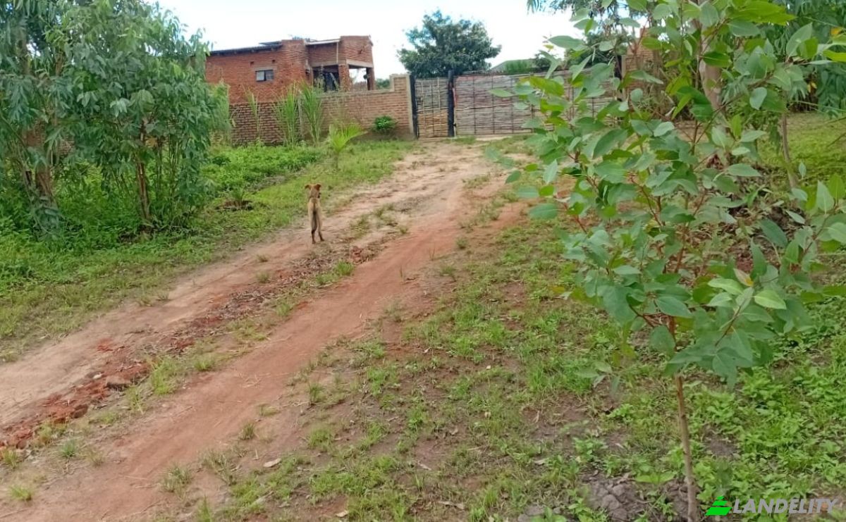 Farm/Ranch for Sale Tsekwe Street, Likuni, Lilongwe, Central Region, Malawi. Photo 10