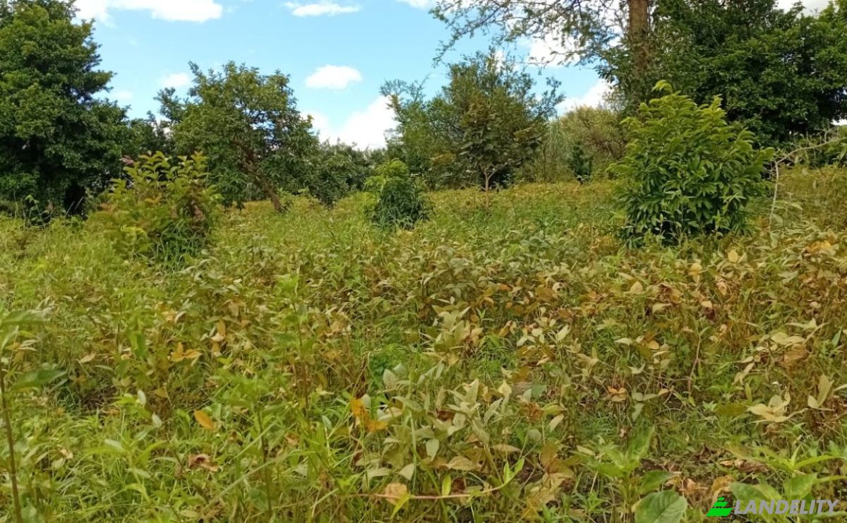 Farm/Ranch for Sale Tsekwe Street, Likuni, Lilongwe, Central Region, Malawi. Photo 16