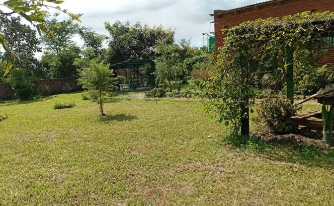 Farm/Ranch for Sale Tsekwe Street, Likuni. Photo#17 Farm/Ranch for Sale Tsekwe Street, Likuni. Photo#17
