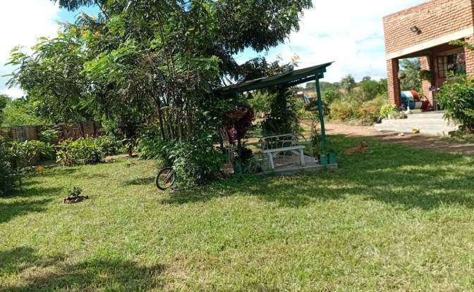 Farm/Ranch for Sale Tsekwe Street, Likuni. Photo#18 Farm/Ranch for Sale Tsekwe Street, Likuni. Photo#18