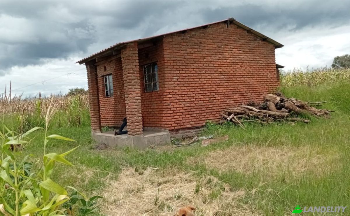 Farm/Ranch for Sale Tsekwe Street, Likuni, Lilongwe, Central Region, Malawi. Photo 4