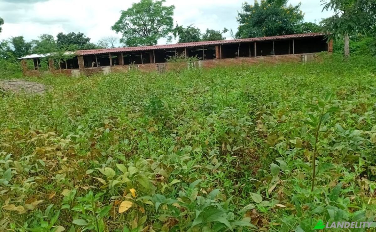 Farm/Ranch for Sale Tsekwe Street, Likuni, Lilongwe, Central Region, Malawi. Photo 7