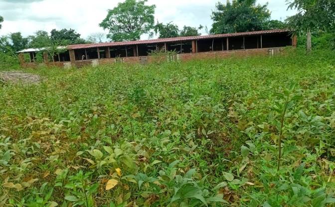 Farm/Ranch for Sale Tsekwe Street, Likuni. Photo#7 Farm/Ranch for Sale Tsekwe Street, Likuni. Photo#7