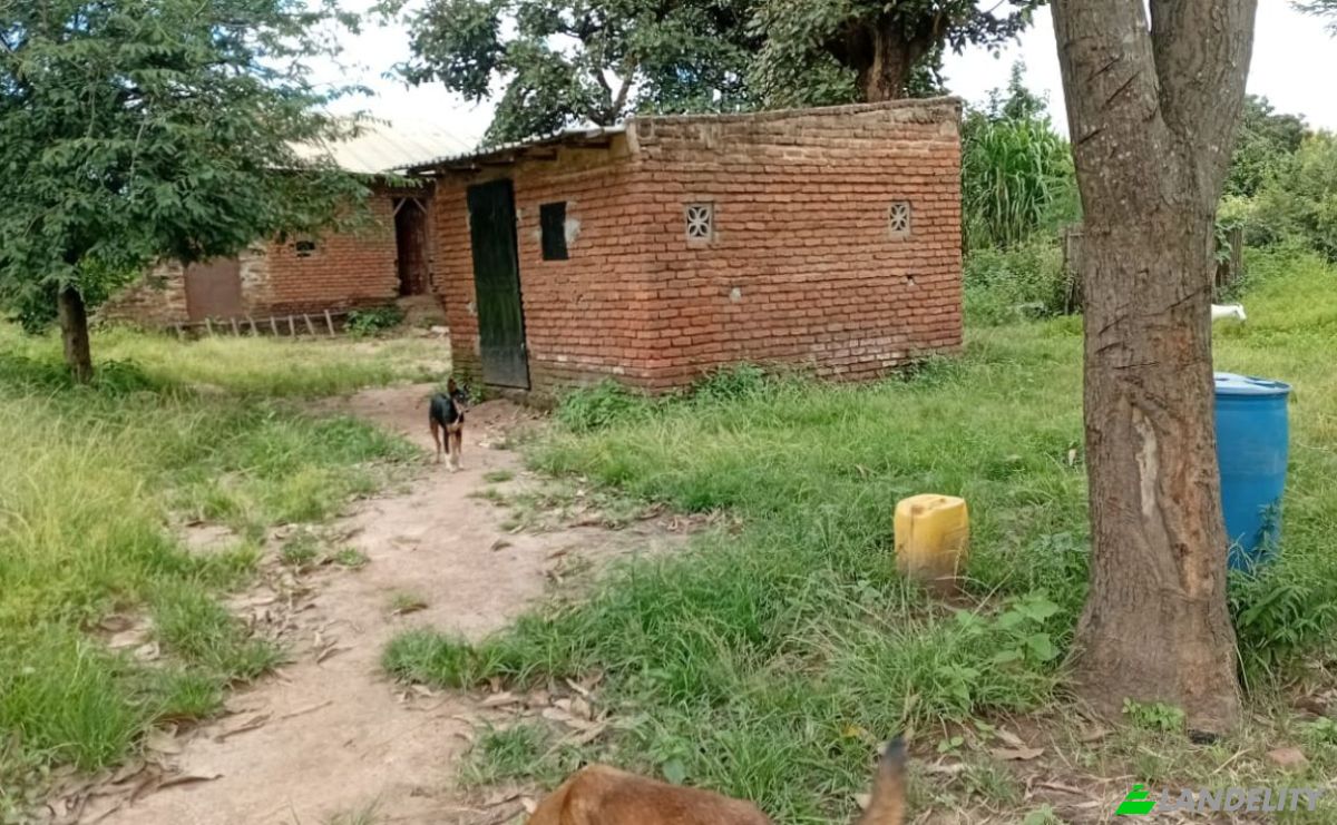 Farm/Ranch for Sale Tsekwe Street, Likuni, Lilongwe, Central Region, Malawi. Photo 8