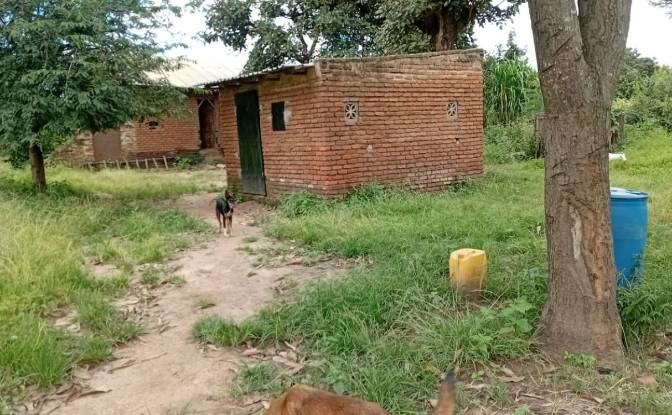 Farm/Ranch for Sale Tsekwe Street, Likuni. Photo#8 Farm/Ranch for Sale Tsekwe Street, Likuni. Photo#8