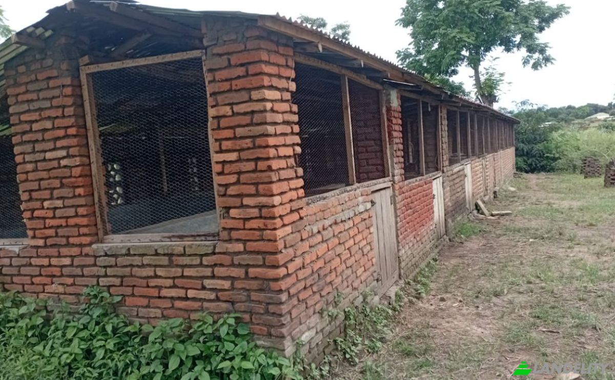 Farm/Ranch for Sale Tsekwe Street, Likuni, Lilongwe, Central Region, Malawi. Photo 9