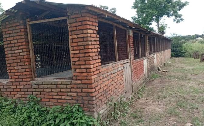 Farm/Ranch for Sale Tsekwe Street, Likuni. Photo#9 Farm/Ranch for Sale Tsekwe Street, Likuni. Photo#9