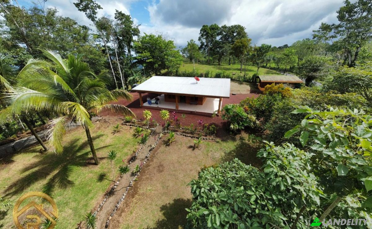 Farm/Ranch for Sale Alajuela Province, San Carlos, Costa Rica, La Palmera. Photo 3