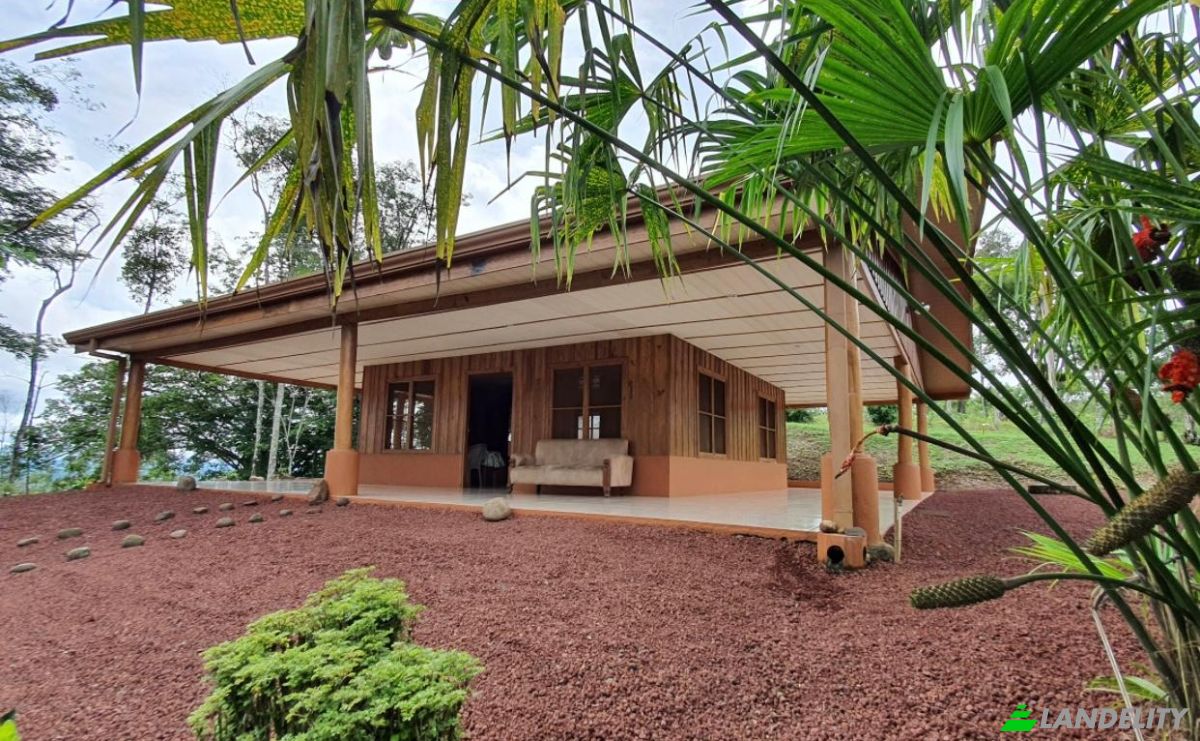 Farm/Ranch for Sale Alajuela Province, San Carlos, Costa Rica, La Palmera. Photo 6