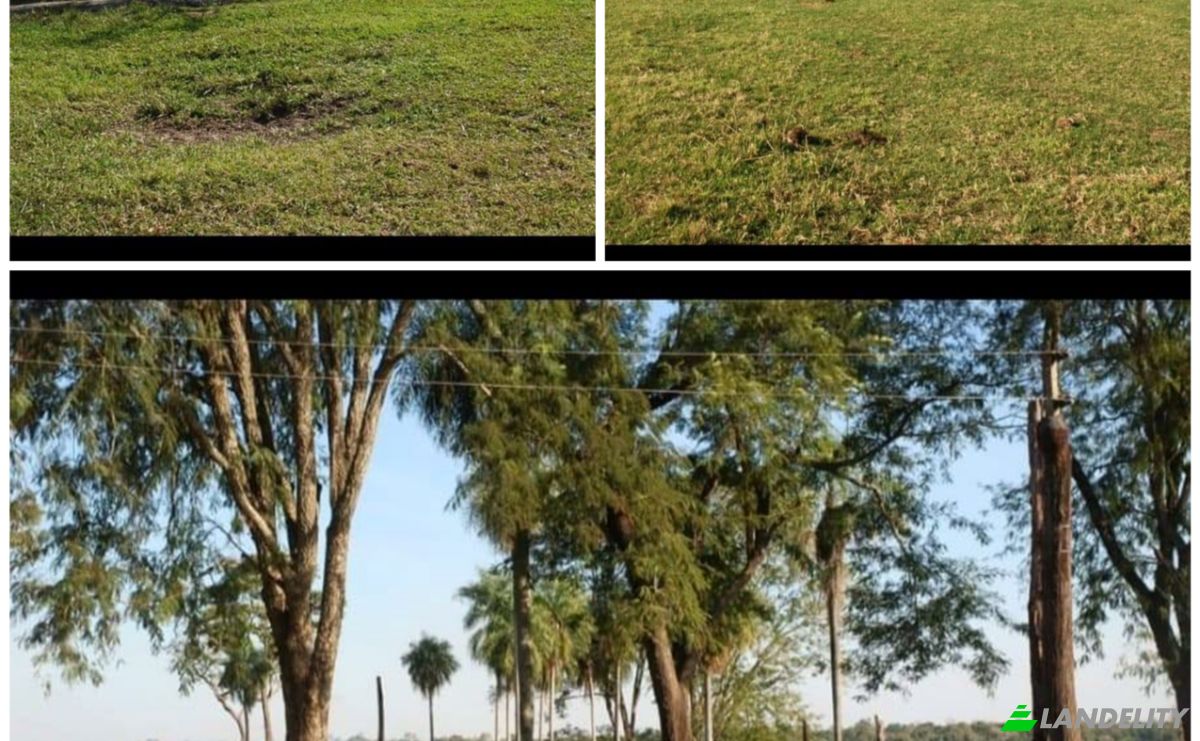 Investing/Development for Sale Via Sin Nombre, 072509, Perlita, Alto Vera, Itapua Department, Paraguay. Photo 1