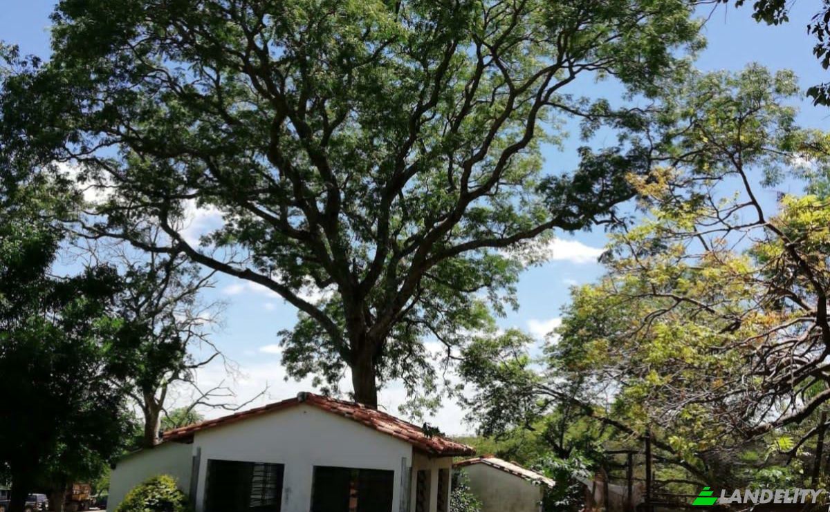 Investing/Development for Sale Camino a Costa Irala, 091008, Entre Rios, Quiindy, Paraguari Department, Paraguay. Photo 6