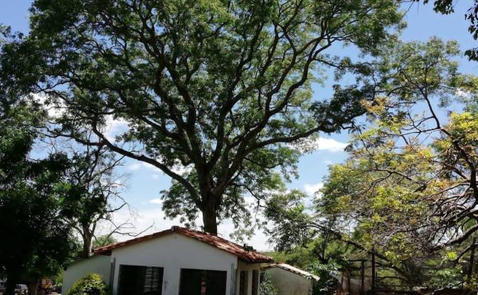 Investing/Development for Sale Camino a Costa. Photo#6 Investing/Development for Sale Camino a Costa. Photo#6