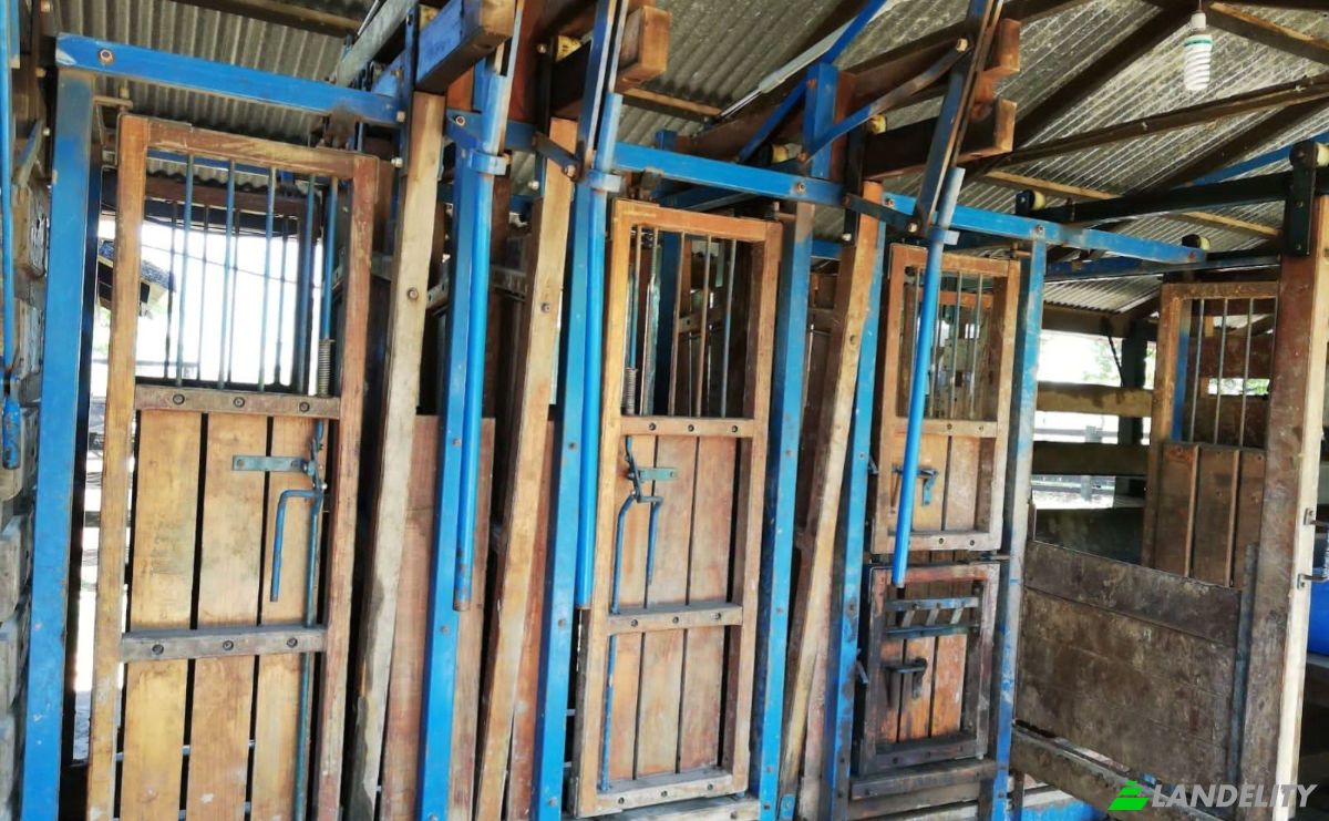 Investing/Development for Sale Camino a Costa Irala, 091008, Entre Rios, Quiindy, Paraguari Department, Paraguay. Photo 8