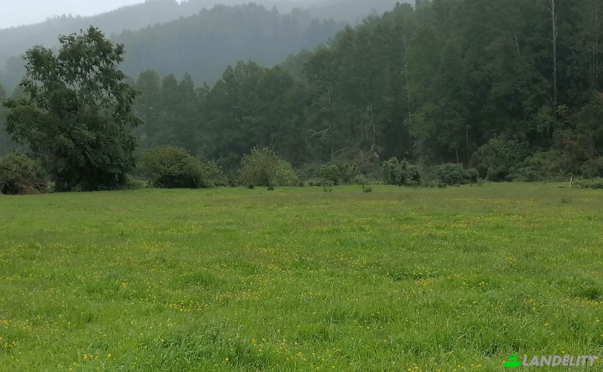 Investeren/Ontwikkelen Te koop Via Sin Nombre, Mariquina, Aragon, Valdivia Province, Los Rios, Chile. Foto 10