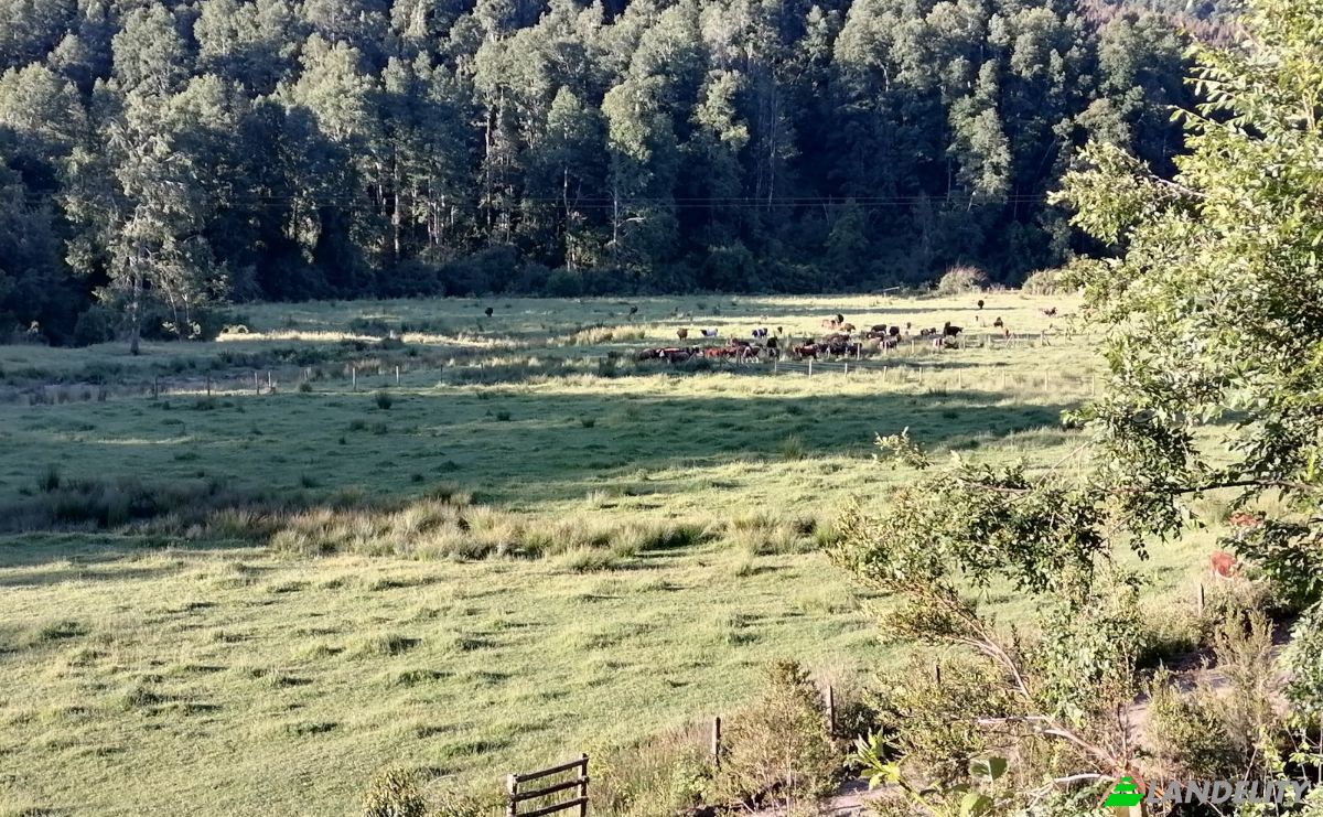 Investeren/Ontwikkelen Te koop Via Sin Nombre, Mariquina, Aragon, Valdivia Province, Los Rios, Chile. Foto 11