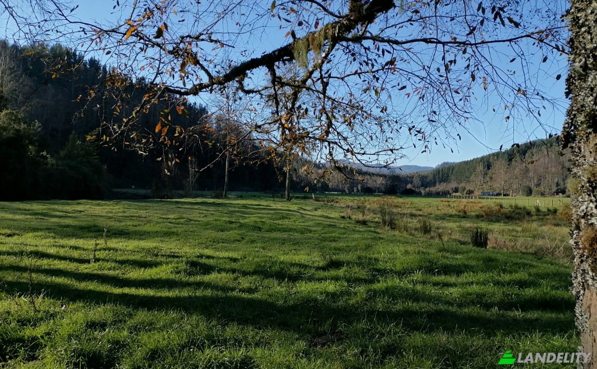 Investeren/Ontwikkelen Te koop Via Sin Nombre, Mariquina, Aragon, Valdivia Province, Los Rios, Chile. Foto 4