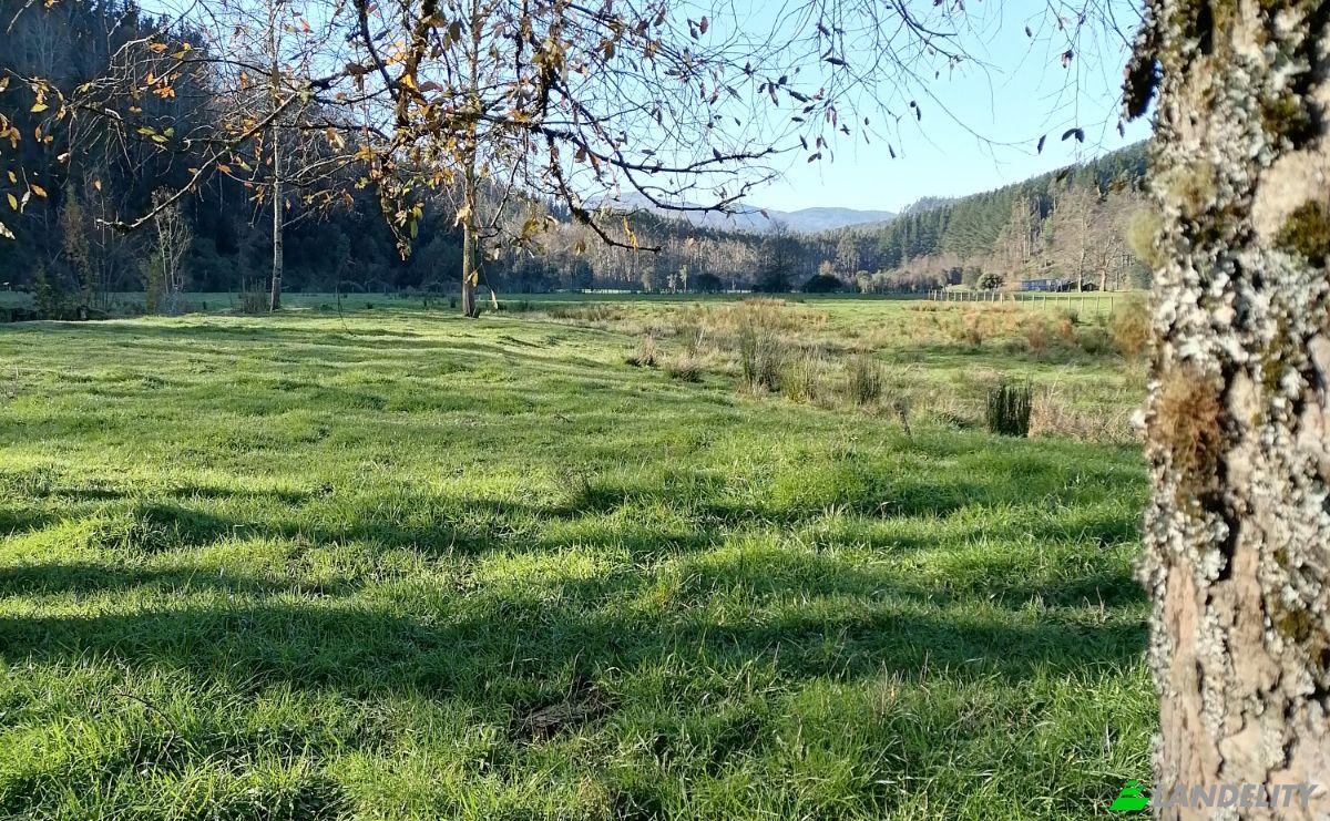 Investeren/Ontwikkelen Te koop Via Sin Nombre, Mariquina, Aragon, Valdivia Province, Los Rios, Chile. Foto 6