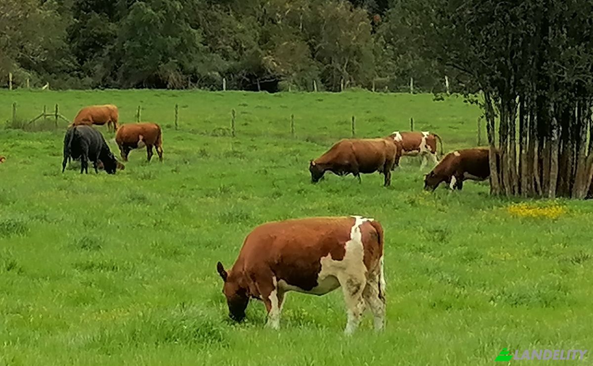 Investeren/Ontwikkelen Te koop Via Sin Nombre, Mariquina, Aragon, Valdivia Province, Los Rios, Chile. Foto 9
