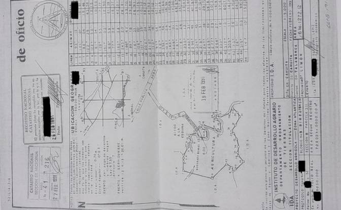 Land Lot for Sale Limon Province, Talamanca. Photo#8 Land Lot for Sale Limon Province, Talamanca. Photo#8