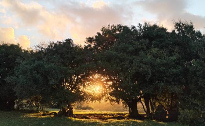 Farm/Ranch for Sale Via Sin Nombre. Photo#5 Farm/Ranch for Sale Via Sin Nombre. Photo#5