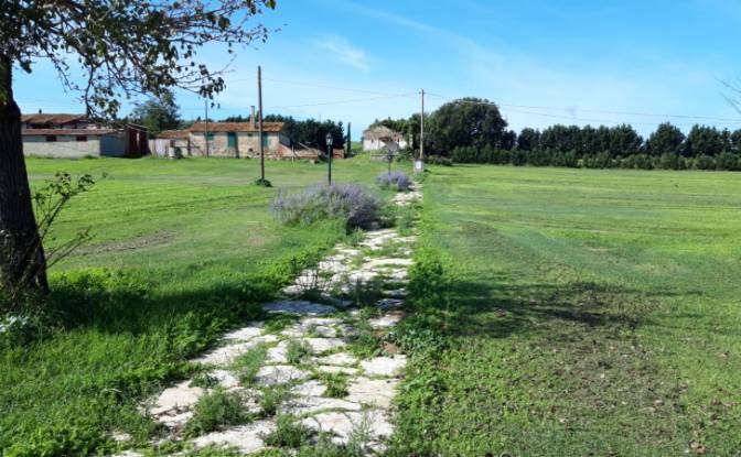 Land Lot for Sale Strada Provinciale delle Conce. Photo#5