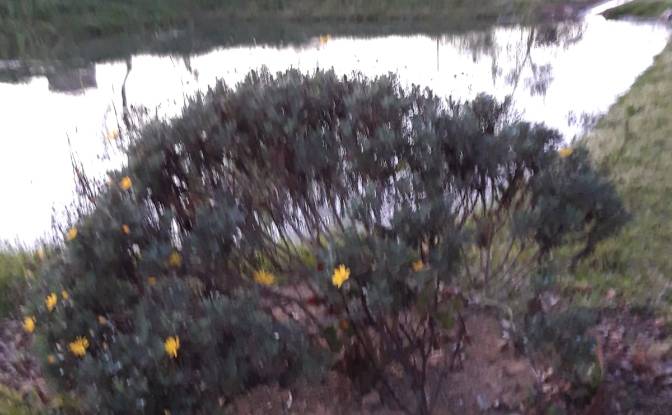 Land Lot for Sale Strada Provinciale delle Conce. Photo#6
