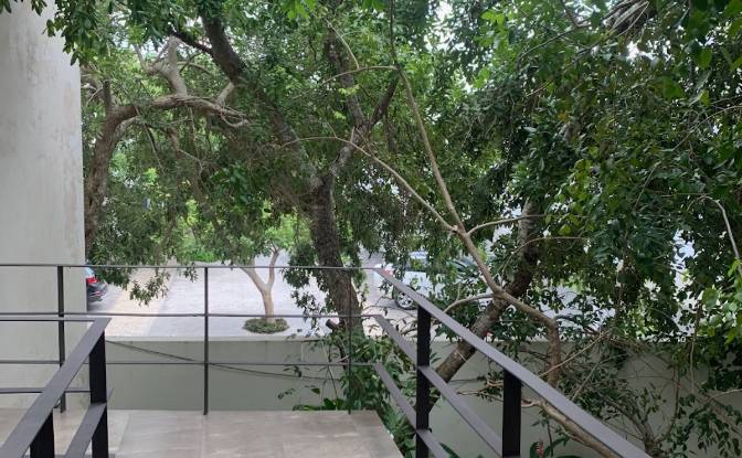 Apartment for Sale C 1 26, Residencial Montecristo. Photo#20