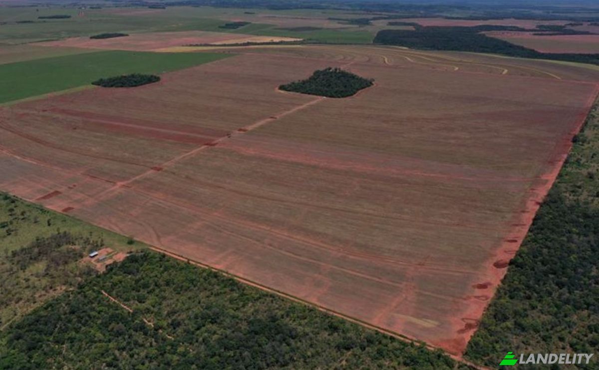 Investing/Development for Sale Via Sin Nombre, 130311, Estancia Cerro Verde, Capitan Bado, Amambay Department, Paraguay. Photo 1