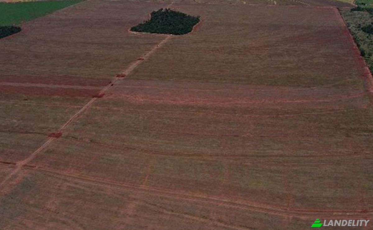 Investing/Development for Sale Via Sin Nombre, 130311, Estancia Cerro Verde, Capitan Bado, Amambay Department, Paraguay. Photo 3