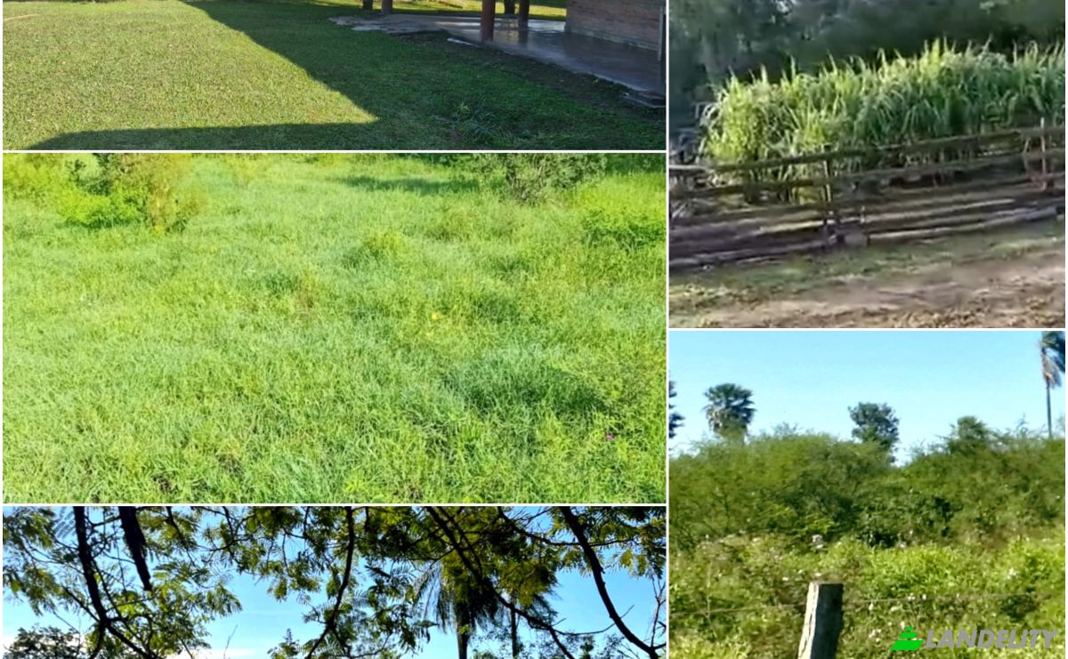 Investing/Development for Rent Zona Ceibo, 150305, Estancia Tanco, Puerto Pinasco, Presidente Hayes Department, Paraguay. Photo 2