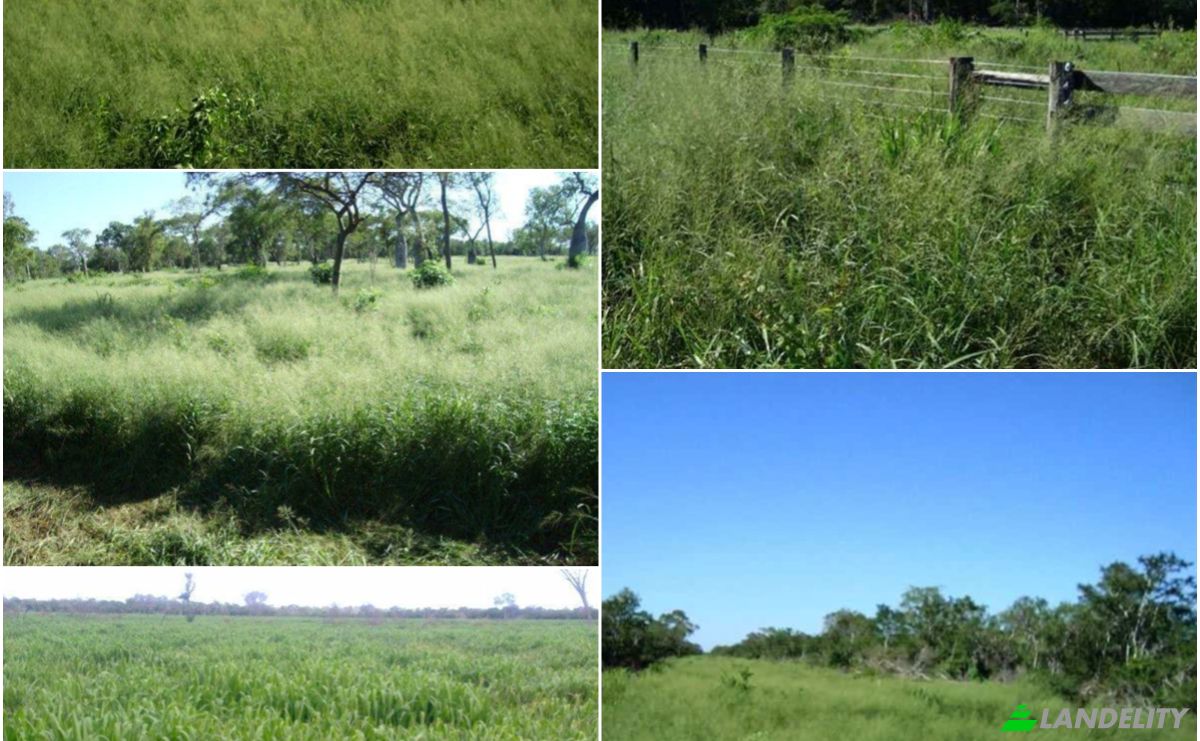 Investing/Development for Sale 170103 Zona Corralito, Zona Corralito, Fuerte Olimpo, Alto Paraguay Department, Paraguay. Photo 3