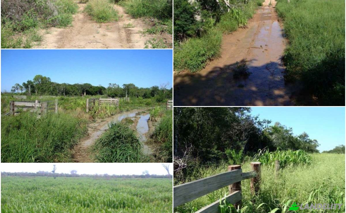 Investing/Development for Sale 170103 Zona Corralito, Zona Corralito, Fuerte Olimpo, Alto Paraguay Department, Paraguay. Photo 4