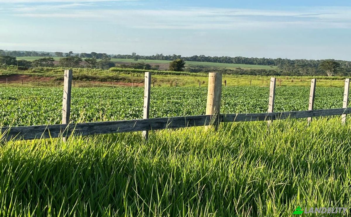 Investing/Development for Sale Via Sin Nombre, 020403, Carrillo Kue, General Elizardo Aquino, San Pedro Department, Paraguay. Photo 6