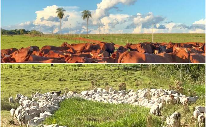 Investing/Development for Sale Via Sin Nombre. Photo#8 Investing/Development for Sale Via Sin Nombre. Photo#8