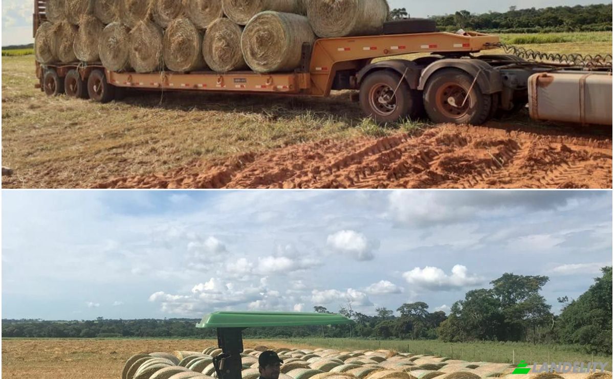 Investing/Development for Sale Via Sin Nombre, 020403, Carrillo Kue, General Elizardo Aquino, San Pedro Department, Paraguay. Photo 9