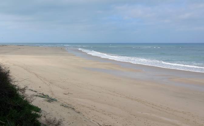 Земля/Ділянка продаж Ebersohn St, Paradise Beach. Фото#4