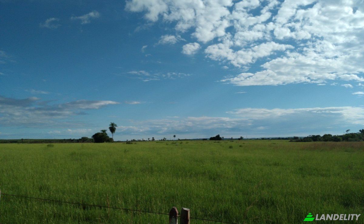 Investing/Development for Sale Aguarare, 070812 Cnel Bogado, Coronel Bogado, Itapua Department, Paraguay. Photo 11