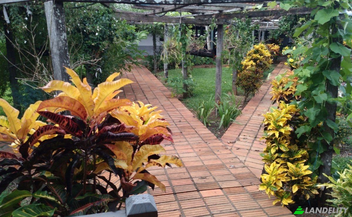 Investing/Development for Sale Aguarare, 070812 Cnel Bogado, Coronel Bogado, Itapua Department, Paraguay. Photo 8