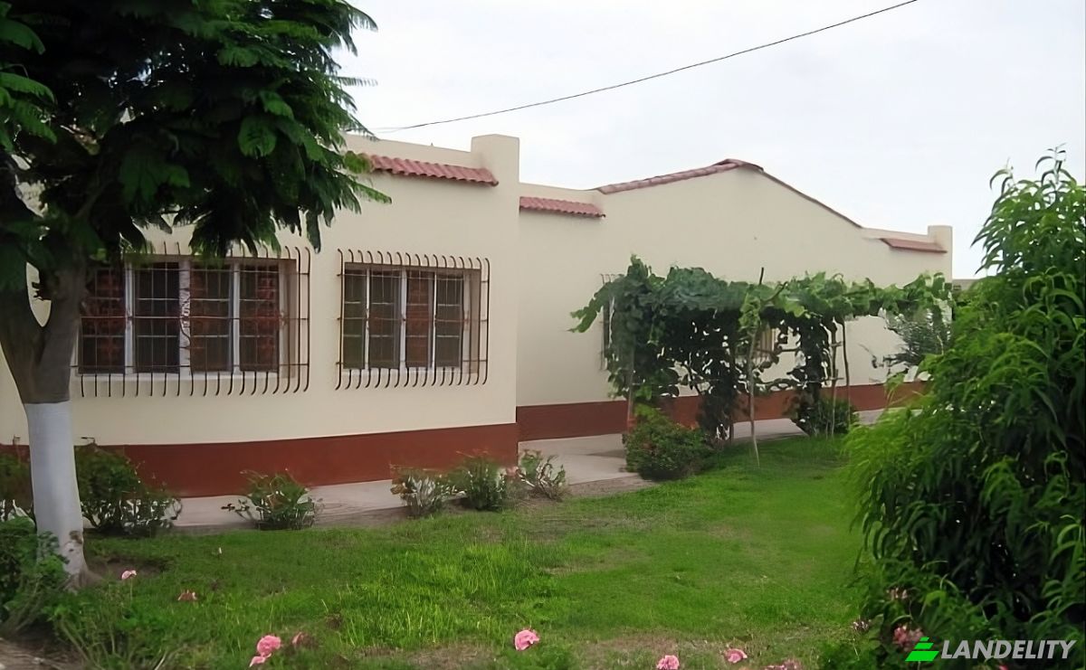 Inversión/Desarrollo en venta Ctra a Quilmaná, Imperial 15700, Imperial, Cañete, Gobierno Regional de Lima, Perú. Foto 3