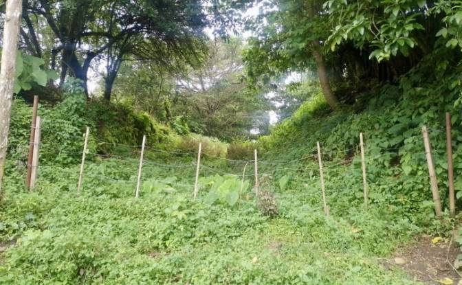 Investing/Development for Sale San Jose Province. Photo#3