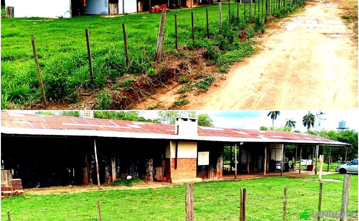 Investing/Development for Sale Via Sin Nombre, 060210, Tuparenda, Abai, Caazapa Department, Paraguay. Photo 2
