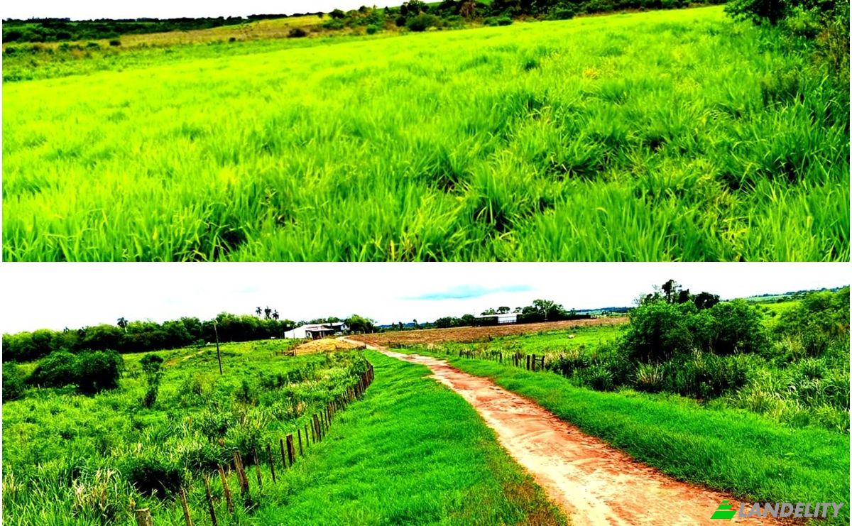 Investing/Development for Sale Via Sin Nombre, 060210, Tuparenda, Abai, Caazapa Department, Paraguay. Photo 4