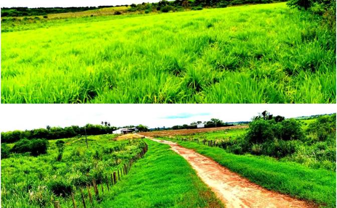 Investing/Development for Sale Via Sin Nombre. Photo#4