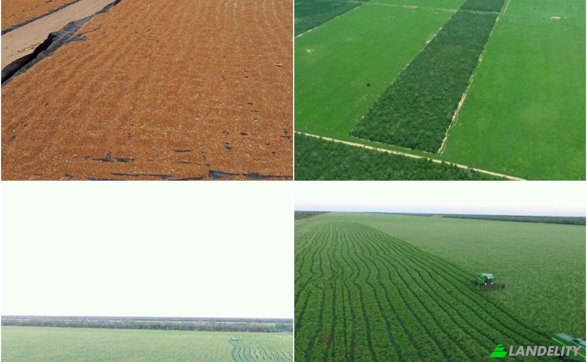Investing/Development for Sale Zona Agua Dulce, 170403, Bahia Negra, Alto Paraguay Department, Paraguay. Photo 7
