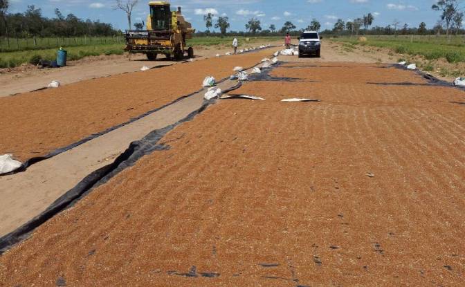 Investimenti/Sviluppo in vendita - Bahia Negra, Paraguay