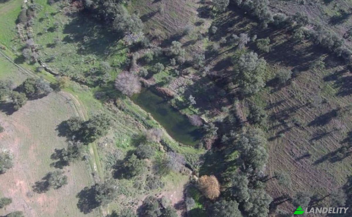 Farm/Ranch for Sale 7340, Azenha nova, Arronches, Portalegre District, Portugal. Photo 8