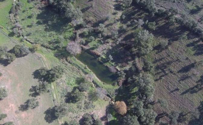 Farm/Ranch for Sale 7340, Azenha nova, Arronches. Photo#8 Farm/Ranch for Sale 7340, Azenha nova, Arronches. Photo#8